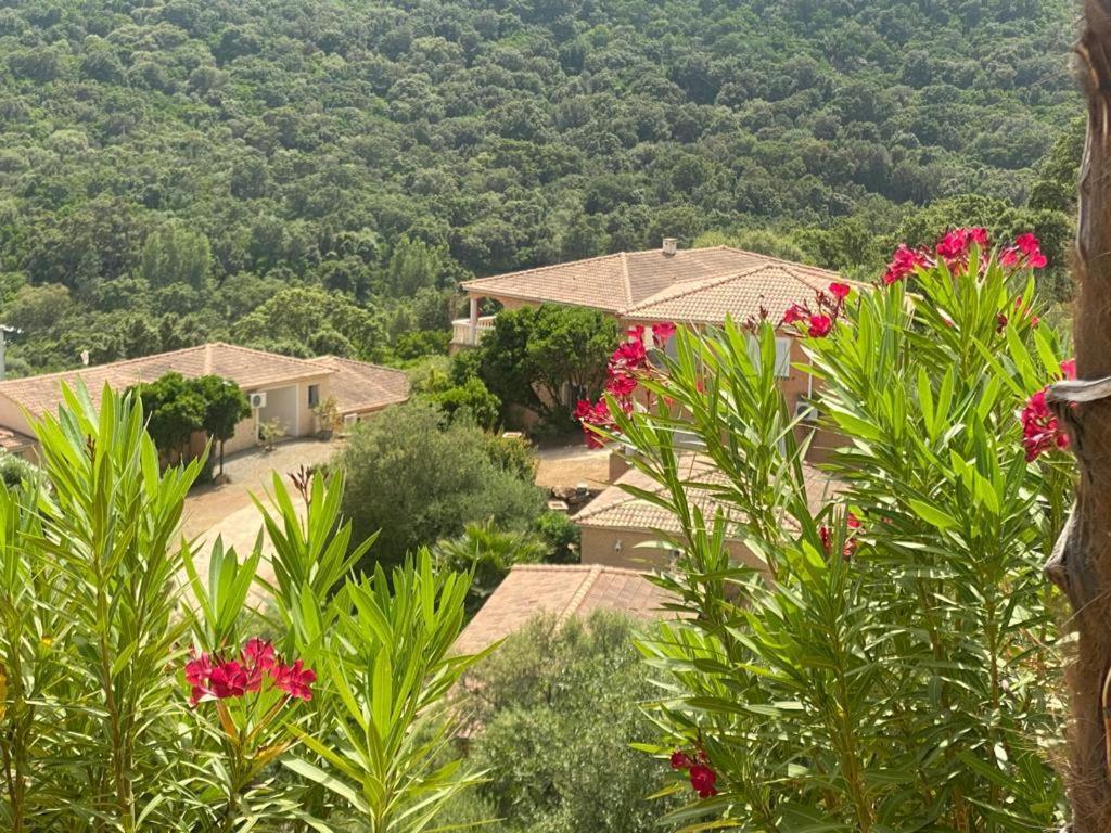 Via Mare Hotell Sainte-Lucie de Porto-Vecchio Eksteriør bilde